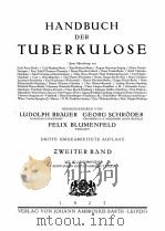 HANDBUCH DER TUBERKULOSE ZWEITER BAND   1923  PDF电子版封面     
