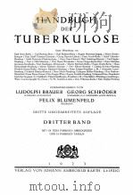 HANDBUCH DER TUBERKULOSE DRITTER BAND   1923  PDF电子版封面     