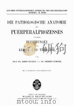 DIE PATHOLOGISCHE ANATOMIE DES PUERPERALPROZESSES UND IHRE BEZIEHUNGEN ZUR KLINIK UND THERAPIE（1919 PDF版）