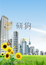 LION MOUNTAIN：A NOVEL     PDF电子版封面    MUSTAPHA TLILI 