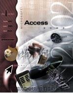 THE I-SERIES:MICROSOFT ACCESS 2002     PDF电子版封面  0072470305  STEPHEN HAAG  JAMES T.PERRY  M 