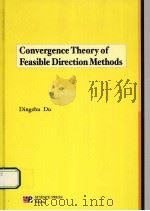 CONVERGENCE THEORY OF FEASIBLE DIRECTION METHODS   1991  PDF电子版封面  7030026330  DINGZHU DU 
