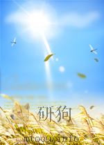 WINDSONG     PDF电子版封面    LYNN HALL 