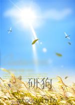 WHEN I DREAM OF HEAVEN     PDF电子版封面    ANGELINA’S STORY 