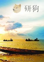 THE CRITICAL HERITAGE     PDF电子版封面  0415159105  PATRICK PARRINDER 