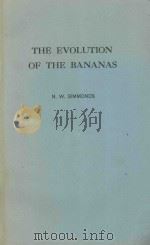 THE EVOLUTION OF THE BANAAS   1962  PDF电子版封面    N.W.SIMMONDS 