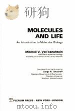 MOLECULES AND LIFE：AN INTRODUCTION TO MOLECULAR BIOLOGY     PDF电子版封面    MIKHAIL V.VOL’KENSHTEIN 