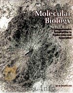 MOLECULAR BIOLOGY：A COMPREHENSIVE INTRODUCTION TO PROKARYOTES AND EUKARYOTES     PDF电子版封面  086720012X   