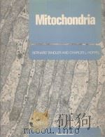 MITOCHONDRIA     PDF电子版封面    BERNARD TANDLER，CHARLES L.HOPP 