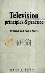 TELEVISION PRINCIPLES AND PRACTICE     PDF电子版封面  0333192214  J.S.ZARACH  NOEL M.MORRIS 