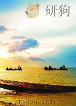 TNTO THE PACIFIC ERA:Southeast Asia and its Place in the Pacific   1986  PDF电子版封面  9679470121   