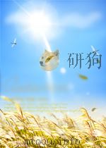 THE RAINFLOW METHOD IN FATIGUE:THE TATSUO ENDO MEMORIAL VOLUME     PDF电子版封面  0750605049  Y.MURAKAMI 