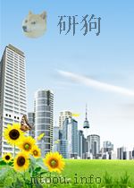 WHOLE LIFE APPRAISAL FOR CONSTRUCTION     PDF电子版封面  0632050462   