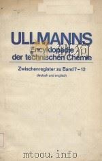 ULLMANNS Encyklopadie der technischen Chemie Zwischenregister zu Band7-12（ PDF版）