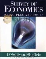Survey of Economics Principles and Tools     PDF电子版封面  0130601438  Arthur O'Sullivan Steven M.Sh 