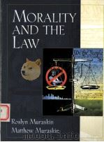 MORALITY AND THE LAW     PDF电子版封面  0139169599   