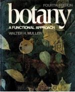 BOTANY：A FUNCTIONAL APPROACH  FOURTH EDITION     PDF电子版封面  002384700X  WALTER H.MULLER 