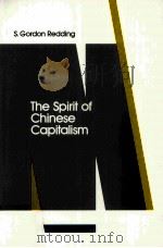 The Spirit of Chinese Capitalism   1993  PDF电子版封面  3110137941   