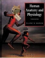 HUMAN ANATOMY AND PHYSIOLOGY  THIRD EDITION（ PDF版）