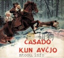 CASADO KUN AVCJO     PDF电子版封面     