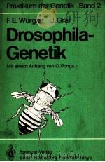 DROSOPHILA-GENETIK   1983  PDF电子版封面  3540127585   