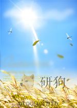 THE FALL OF LIGHT     PDF电子版封面  0330490877   