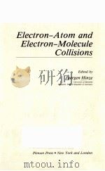 ELECTRON-ATOM AND ELECTRON-MOLECULE COLLISIONS     PDF电子版封面  0306411881  JUERGEN HINZE 