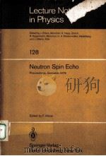 NEUTRON SPIN ECHO（1980 PDF版）