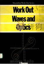 MACMILLAN WORK OUT SERIES  WORK OUT WAVES AND OPTICS（ PDF版）