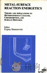 METAL-SURFACE REACTION ENERGETICS：THEORY AND APPLICATIONS TO HETEROGENEOUS CATALYSIS，CHEMISORPTION，A（ PDF版）