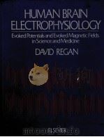 HUMAN BRAIN ELECTROPHYSIOLOGY：EVOKED POTENTIALS AND EVOKED MAGNETIC FIELDS IN SCIENCE AND MEDICINE（ PDF版）