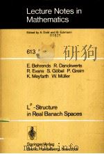 Lp-structure in real banach spaces   1977  PDF电子版封面  354008441X  E. Behrends ... [et al.] 