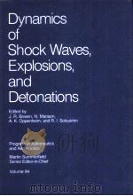 DYNAMICS OF SHOCK WAVES，EXPLOSIONS，AND DETONATIONS  VLOUME 94     PDF电子版封面  0915928914  J.R.BOWEN，N.MANSON，A.K.OPPENHE 