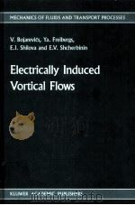 ELECTRICALLY INDUCED VORTICAL FLOWS     PDF电子版封面  9024737125   