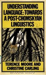 UNDERSTANDING LANGUAGE:TOWARDS A POST-CHOMSKYAN LINGUISTICS     PDF电子版封面  0333331087   