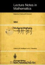 MULTIGRID METHODS（1982 PDF版）