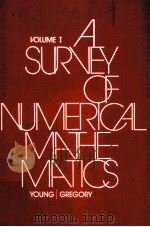 A SURVEY OF NUMERICAL MATHEMATICS  VOLUME 1（ PDF版）