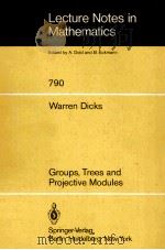 GROUPS，TREES AND PROJECTIVE MODULES   1980  PDF电子版封面  3540099743  WARREN DICKS 
