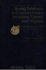YOUNG TABLEAUX IN COMBINATORICS，INVARIANT THEORY，AND ALGEBRA AN ANTHOLOGY OF RECENT WORK     PDF电子版封面  0124287808  JOSEPH P.S.KUNG 