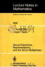 GROUP EXTENSIONS，REPRESENTATIONS，AND THE SCHUR MULTIPLICATOR   1982  PDF电子版封面  354011954X   