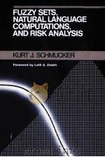 FUZZY SETS：NATURAL LANGUAGE COMPUTATIONS，AND RISK ANALYSIS（ PDF版）