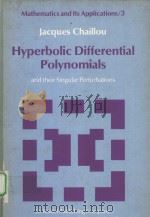HYPERBOLIC DIFFERENTIAL POLYNOMIALS AND THEIR SINGULAR PERTURBATIONS     PDF电子版封面  9027710325  J.W.NIENHUYS 