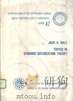 TOPICS IN DYNAMIC BIFURCATION THEORY     PDF电子版封面  0821816985  JACK K.HALE 