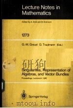 SINGULARITIES，REPERESENTATION OF ALGEBRAS，AND VECTOR BUNDLES     PDF电子版封面  3540182632  G.-M.GREUEL，G.TRAUTMANN 