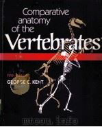 COMPARATIVE ANATOMY OF THE VERTEBRATES  FIFTH EDITION   1983  PDF电子版封面  080162651X  GEORGE C.KENT 