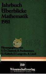 JAHRBUCH UBERBLICKE MATHEMATIK 1981（ PDF版）