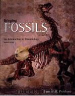 BRINGING FOSSILS TO LIFE  SECOND EDITION     PDF电子版封面  9780073661704  DONALD R.PROTHE著 
