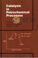 Catalysis in Petrochemical Processes（ PDF版）