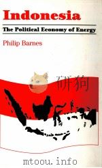 Indonesia The Political Economy of Energy     PDF电子版封面  0197300162  Philip Barnes 