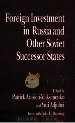 foreign Investment in Russia and Other Soviet Successor States   1995  PDF电子版封面  0312159854   